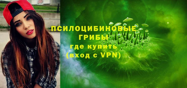 spice Абаза