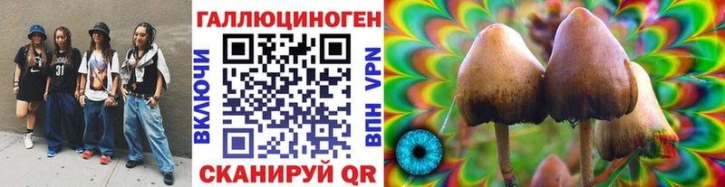 Псилоцибиновые грибы ЛСД  ссылка на мегу рабочий сайт  Ливны 
