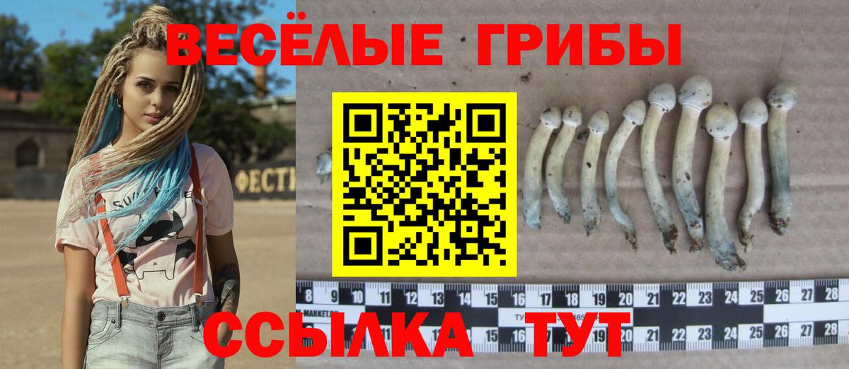 Псилоцибиновые грибы Magic Shrooms  Псилоцибиновые грибы прущие грибы  Ливны  Вход с VPN 